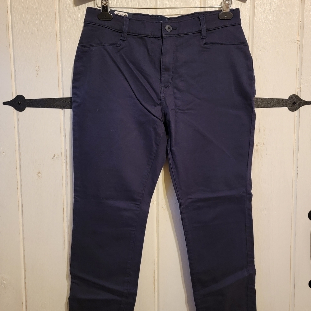 Gap Pants Stretch Skinny Twilight Blue Size 10